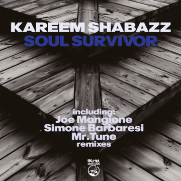 Soul Survivor (Joe Mangione Organ Vibes Mix)