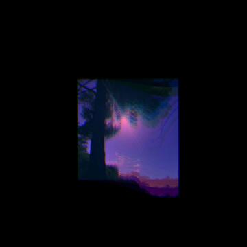 Stay